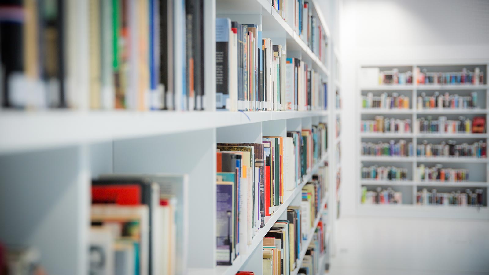Bibliotheksumzug Archivumzug